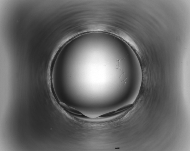 X0000098081088200804110938