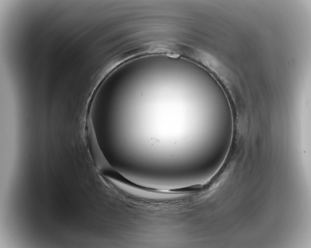 X0000098081089200804110938