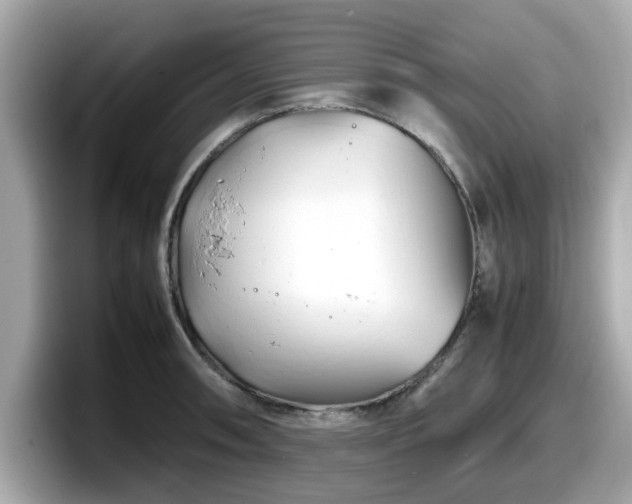 X0000098081090200804110938