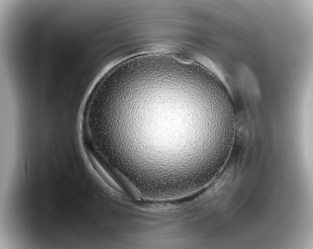 X0000098081091200804110938
