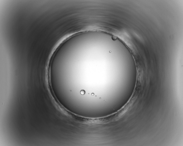 X0000098081094200804110938