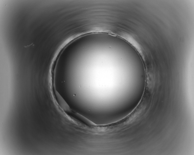 X0000098081096200804110937