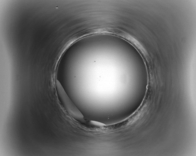 X0000098081097200804110937