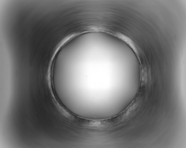 X0000098081098200804110937