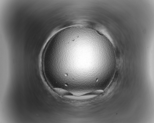 X0000098081099200804110937