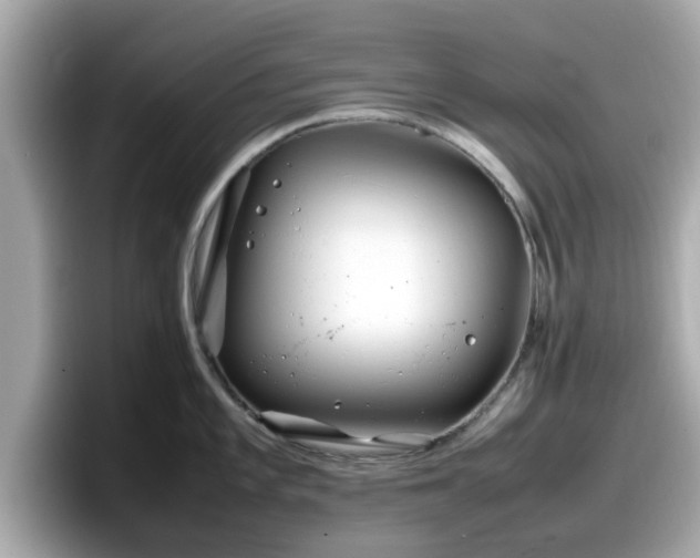 X0000098081101200804110937