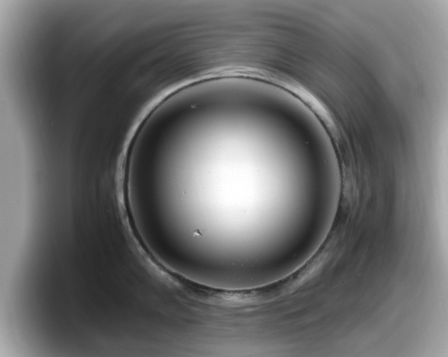 X0000098081102200804110937