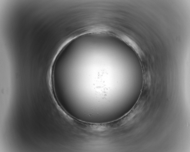X0000098081103200804110937
