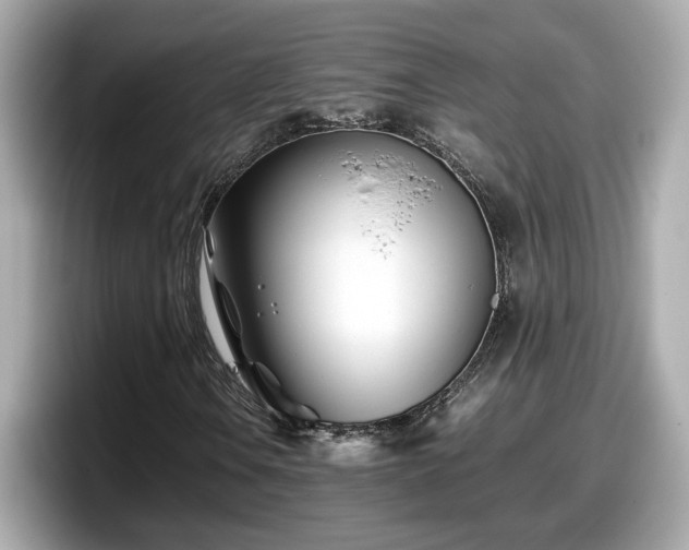 X0000098081106200804110937