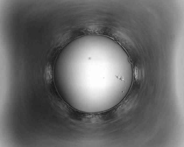 X0000098081107200804110937