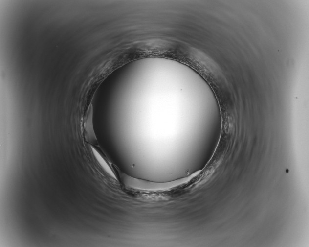 X0000098081108200804110937