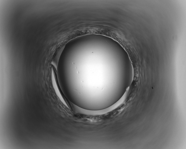 X0000098081109200804110937