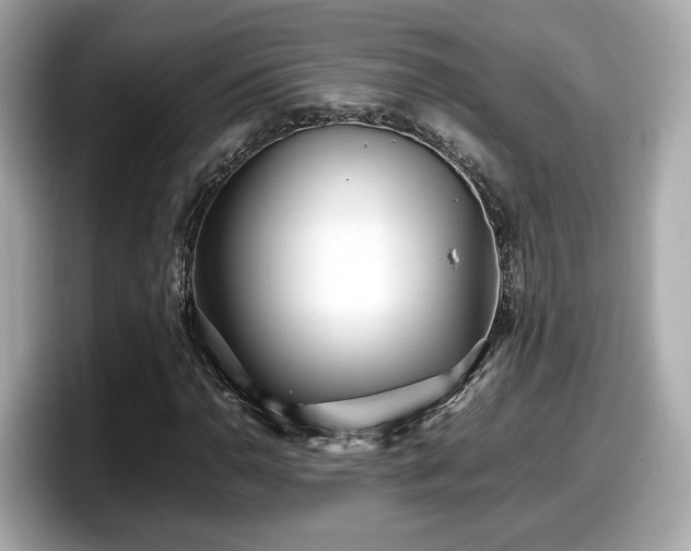 X0000098081110200804110937