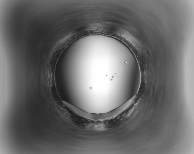 X0000098081111200804110937