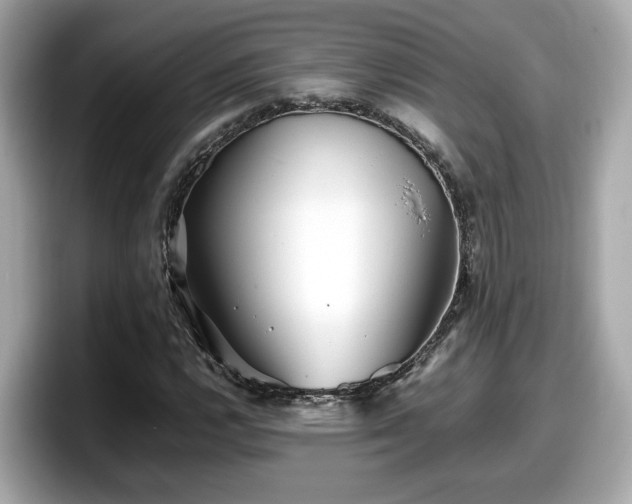 X0000098081112200804110937
