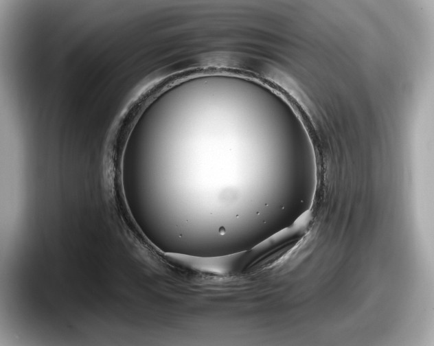 X0000098081115200804110937