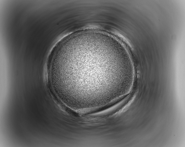 X0000098081117200804110937