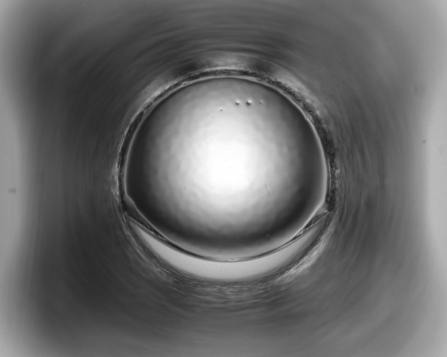 X0000098081121200804110937