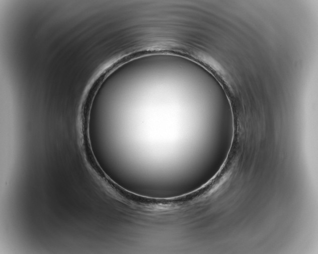 X0000098081122200804110937