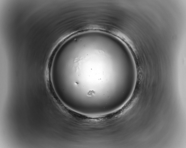 X0000098081125200804110937