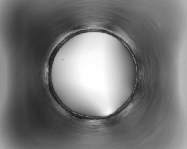 X0000098081126200804110937