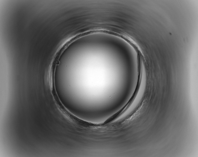 X0000098081127200804110937