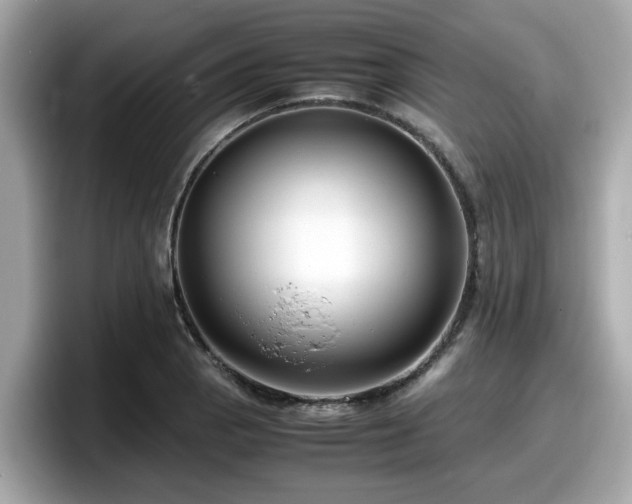 X0000098081129200804110937