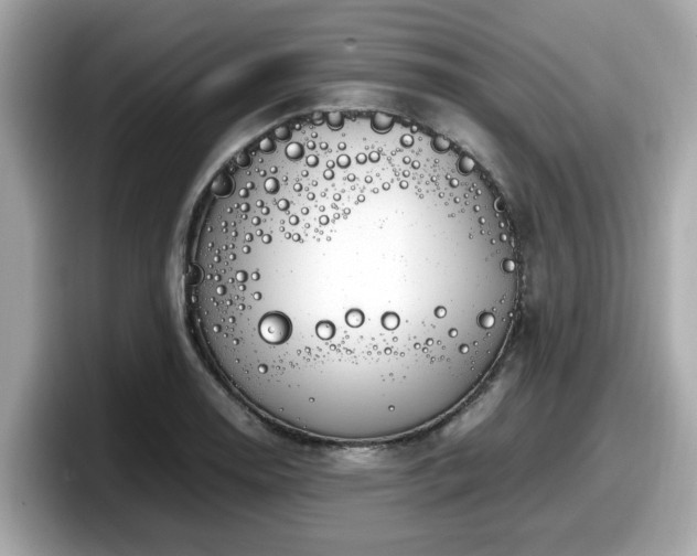 X0000098081130200804110937