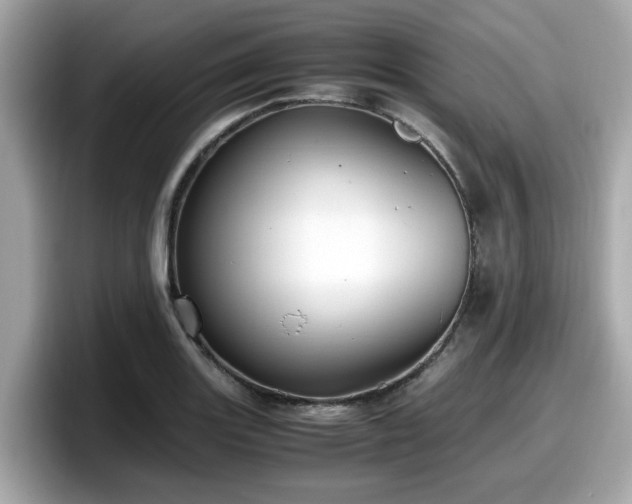 X0000098081131200804110937