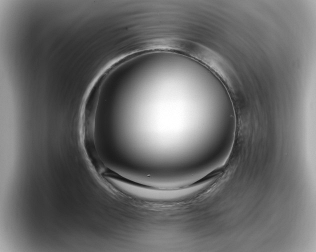 X0000098081132200804110937