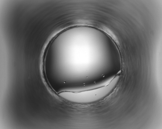 X0000098081136200804110937