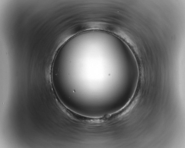 X0000098081137200804110937