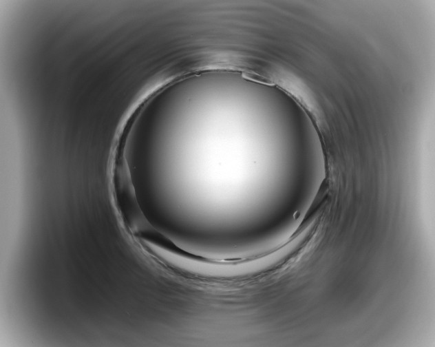 X0000098081138200804110937