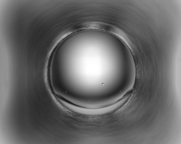 X0000098081139200804110937