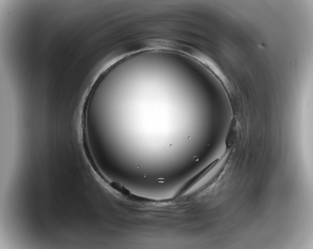 X0000098081143200804110937