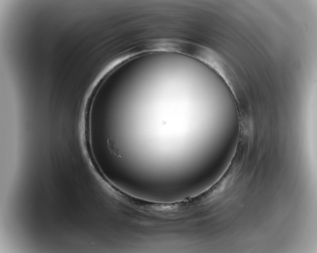 X0000098081147200804110937
