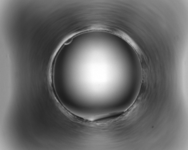 X0000098081148200804110937