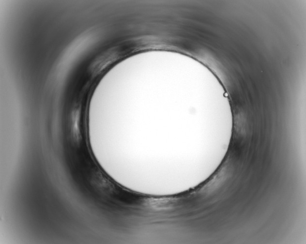 X0000098081150200804110937
