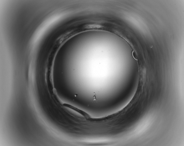 X0000098081151200804110937