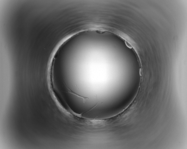 X0000098081152200804110937