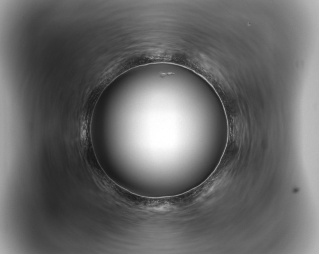X0000098081154200804110937