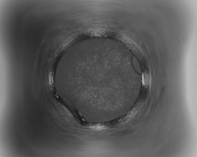 X0000098081155200804110937