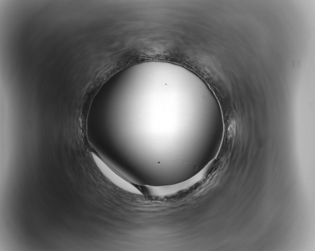 X0000098081156200804110937