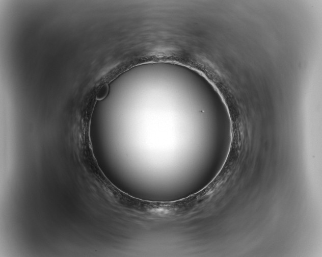 X0000098081158200804110937