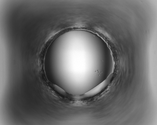 X0000098081160200804110937