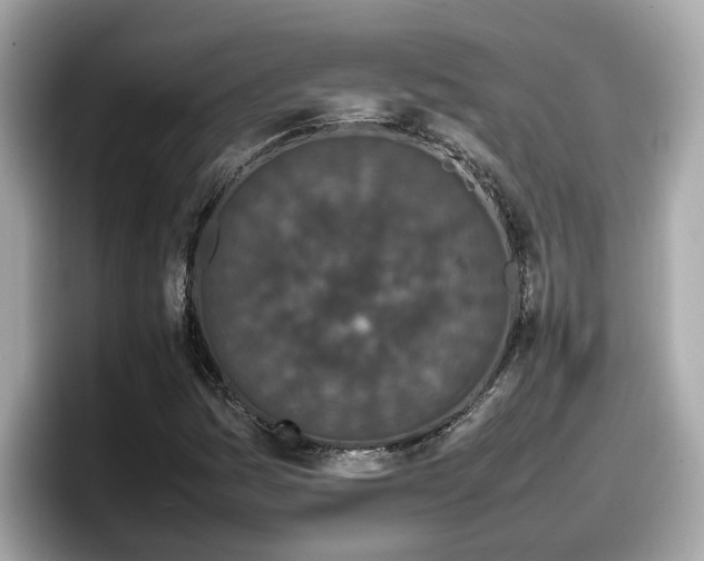 X0000098081161200804110937