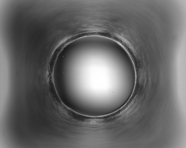 X0000098081163200804110937