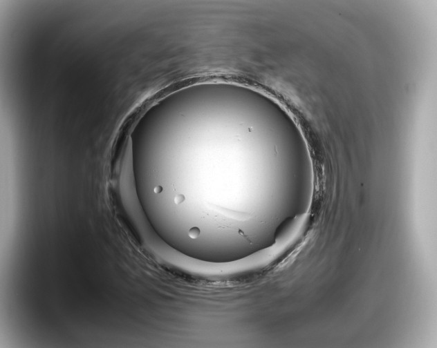 X0000098081165200804110937