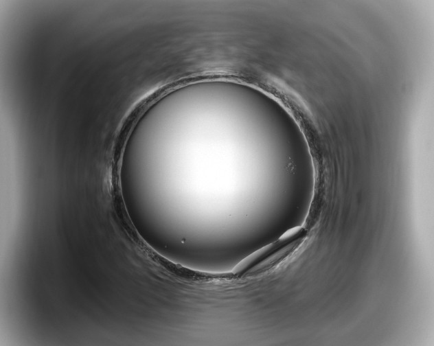 X0000098081166200804110937