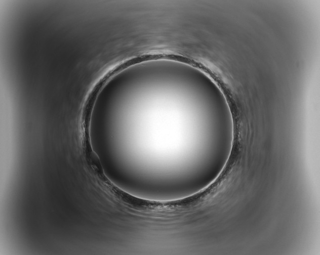 X0000098081167200804110937